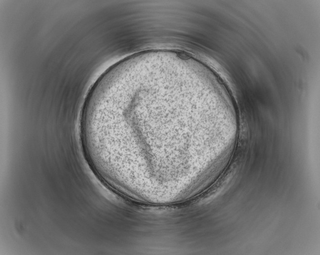 X0000113020803200909241633