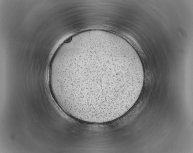 X0000113020804200909241633