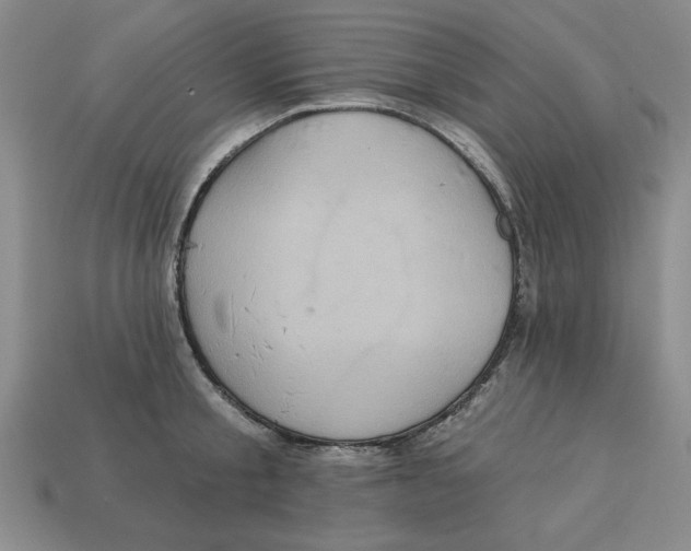 X0000113020805200909241633