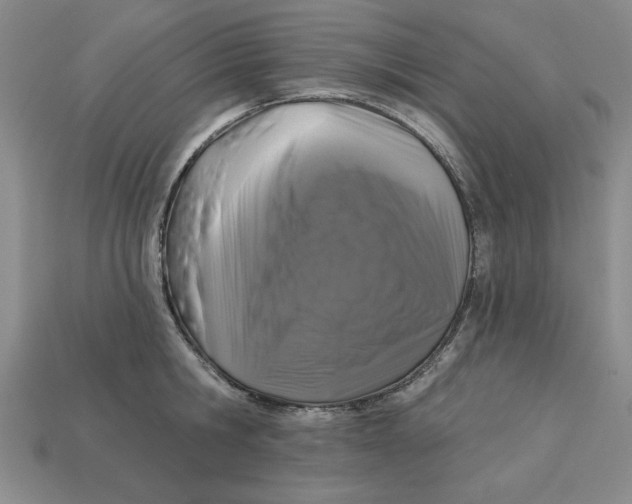 X0000113020806200909241633