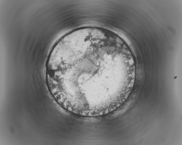 X0000113020807200909241633