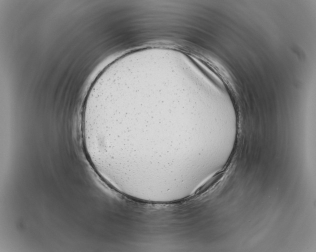 X0000113020808200909241633