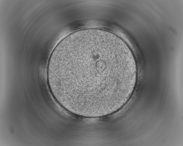 X0000113020810200909241633