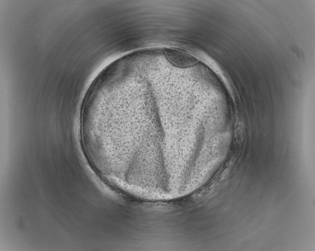 X0000113020811200909241633