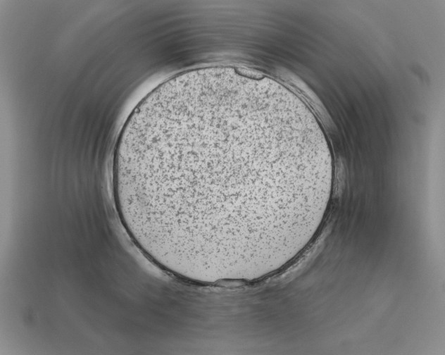 X0000113020812200909241633