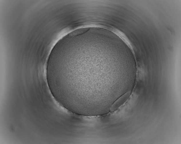 X0000113020813200909241633