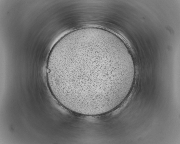 X0000113020814200909241633