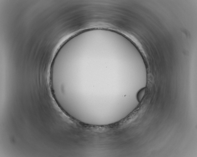 X0000113020815200909241633