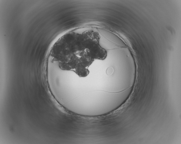 X0000113020816200909241633