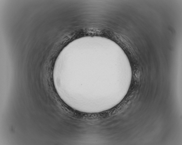 X0000113020817200909241633