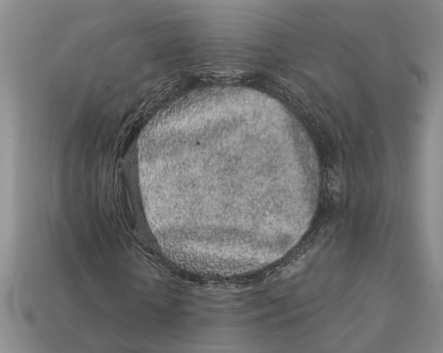 X0000113020818200909241633