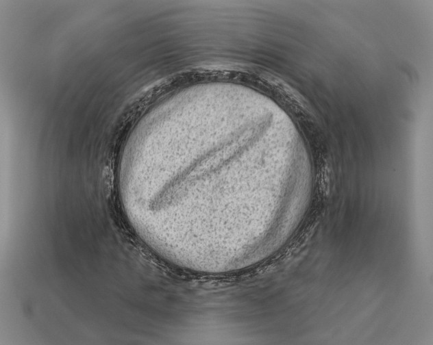 X0000113020821200909241633