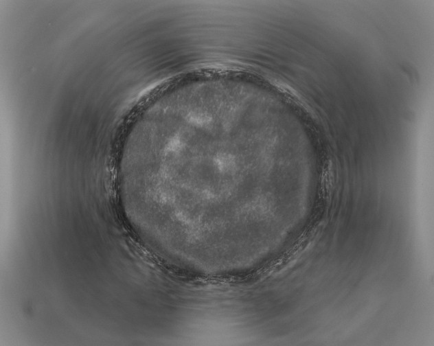 X0000113020822200909241633