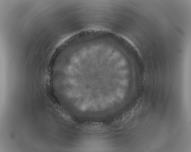 X0000113020823200909241633