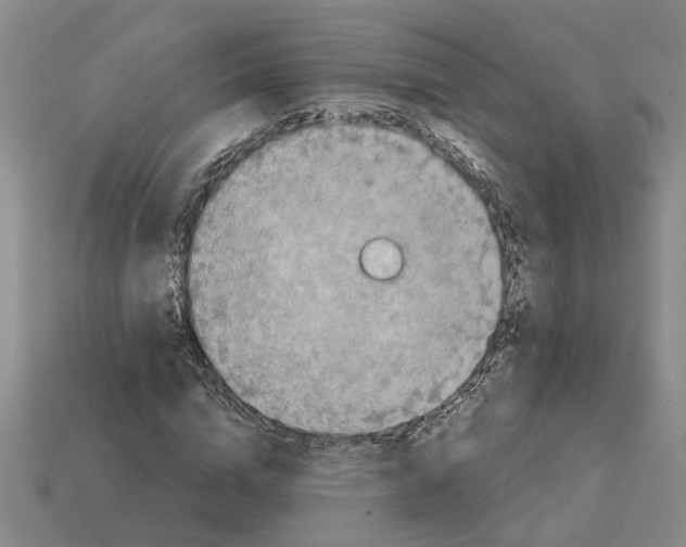 X0000113020824200909241633