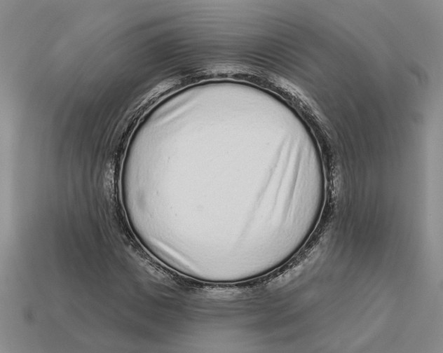 X0000113020825200909241633