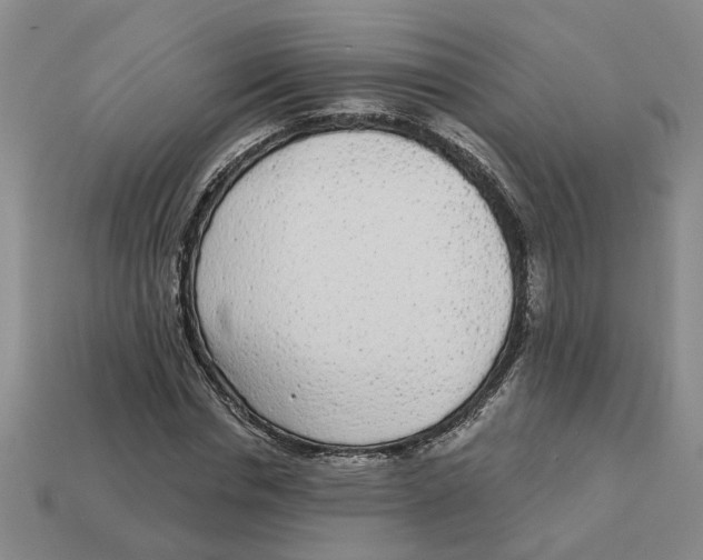 X0000113020826200909241633