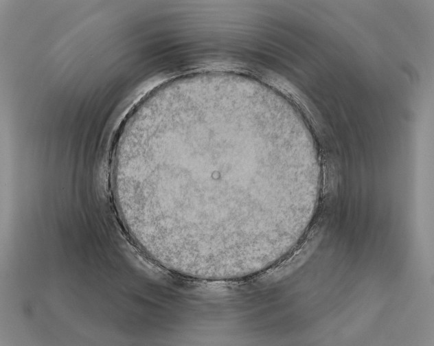 X0000113020828200909241633