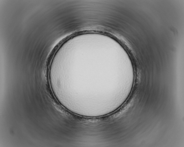 X0000113020830200909241633