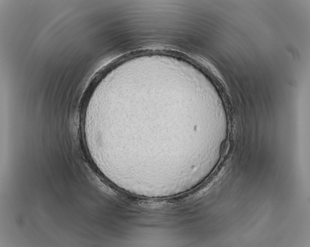 X0000113020831200909241633