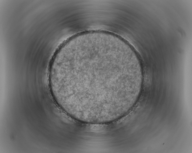 X0000113020832200909241633