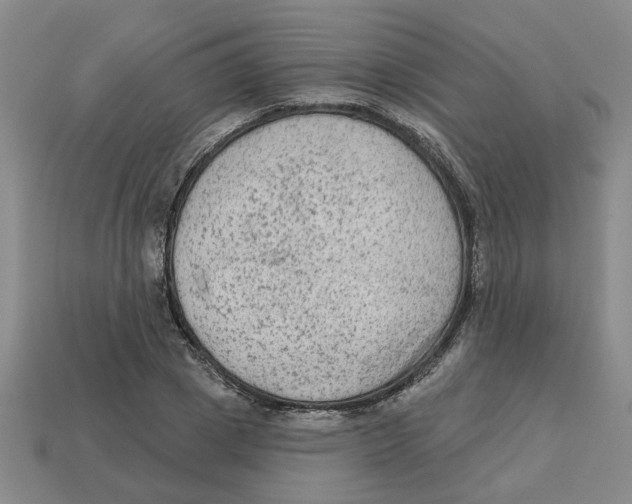 X0000113020833200909241633