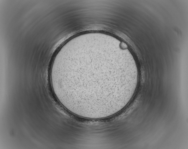 X0000113020834200909241633