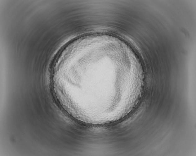 X0000113020835200909241633