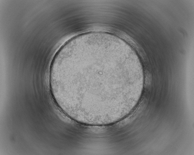 X0000113020836200909241633