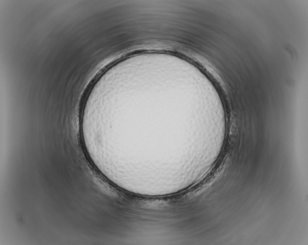 X0000113020837200909241633