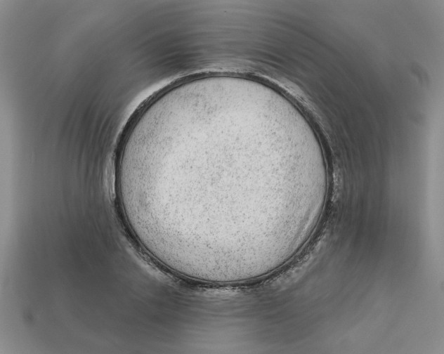 X0000113020838200909241633