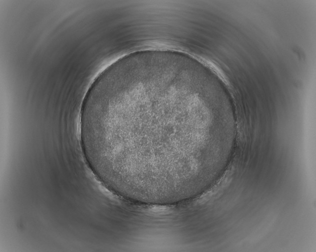 X0000113020839200909241633