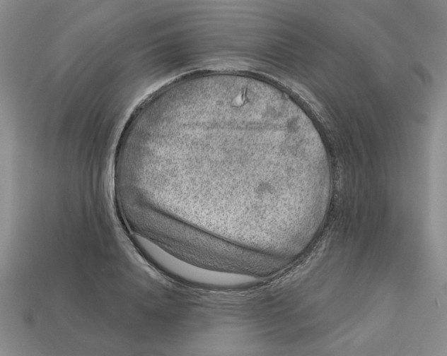 X0000113020840200909241633