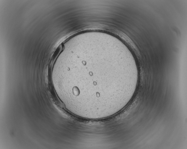 X0000113020842200909241633