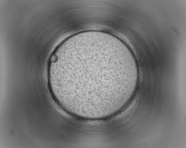 X0000113020843200909241633