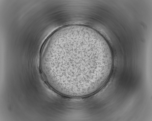 X0000113020844200909241633