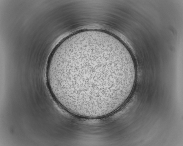 X0000113020845200909241633