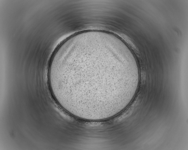 X0000113020846200909241633