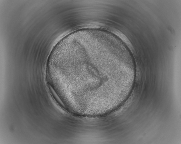 X0000113020850200909241633