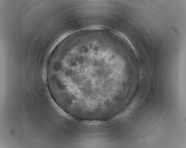 X0000113020851200909241633