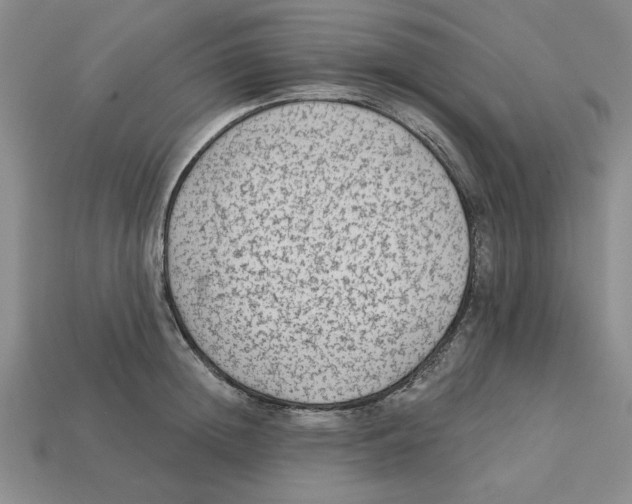 X0000113020852200909241633