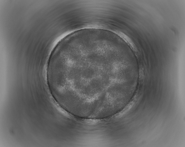 X0000113020854200909241633