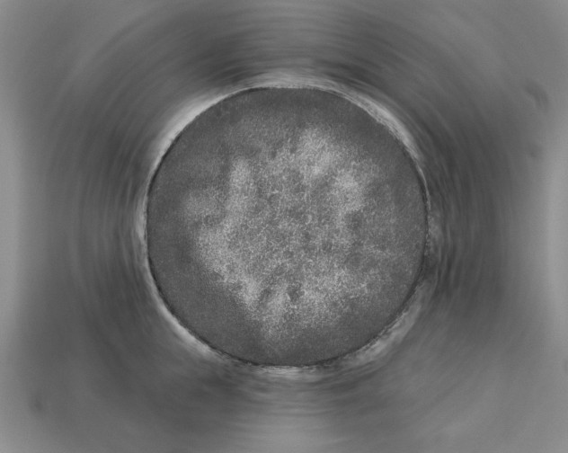 X0000113020855200909241633