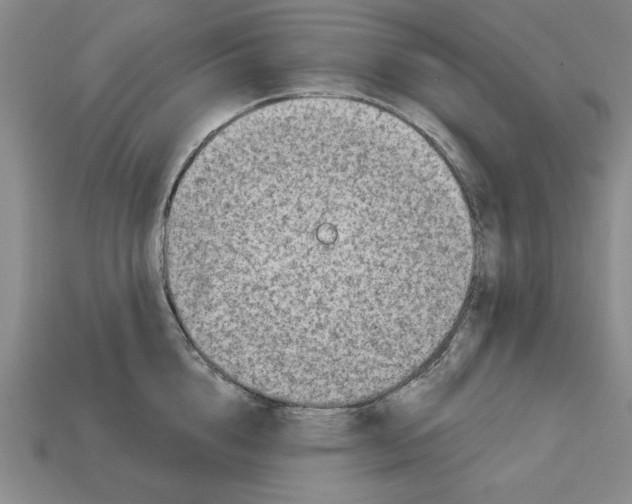 X0000113020856200909241633