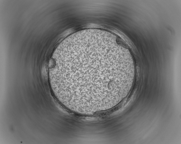 X0000113020857200909241633