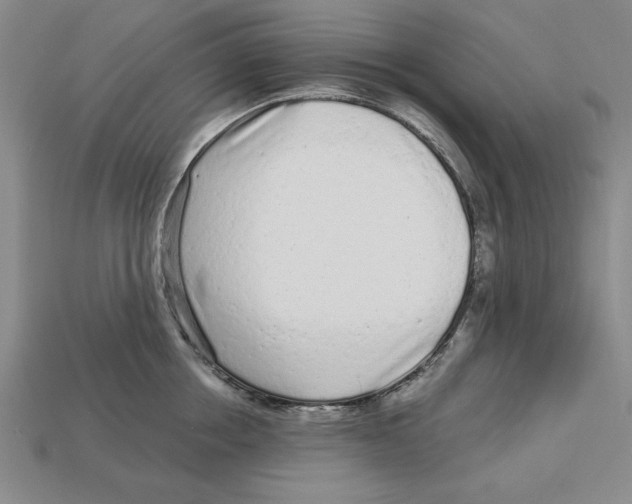 X0000113020858200909241633