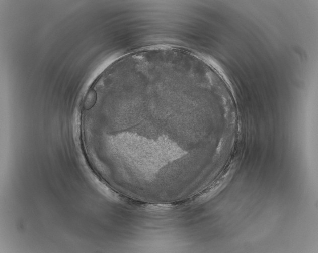 X0000113020859200909241633