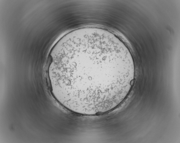 X0000113020860200909241633