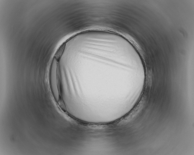 X0000113020862200909241633