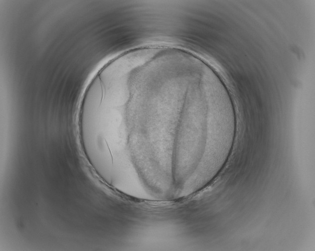 X0000113020864200909241633